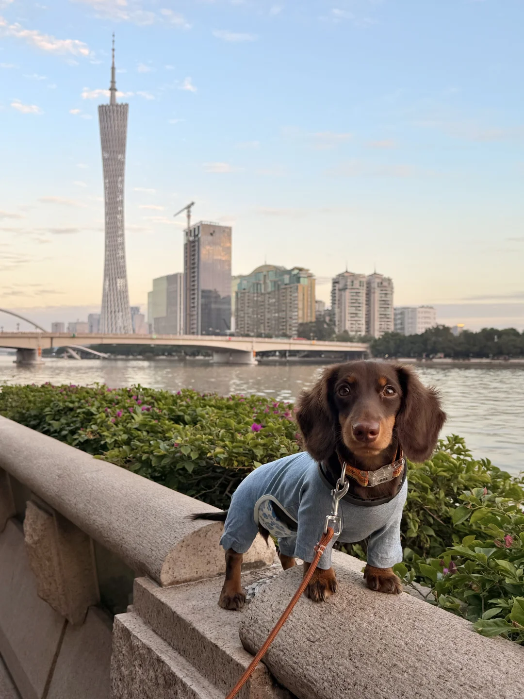 我来广州啦！带来了好消息✌️✌️✌️
