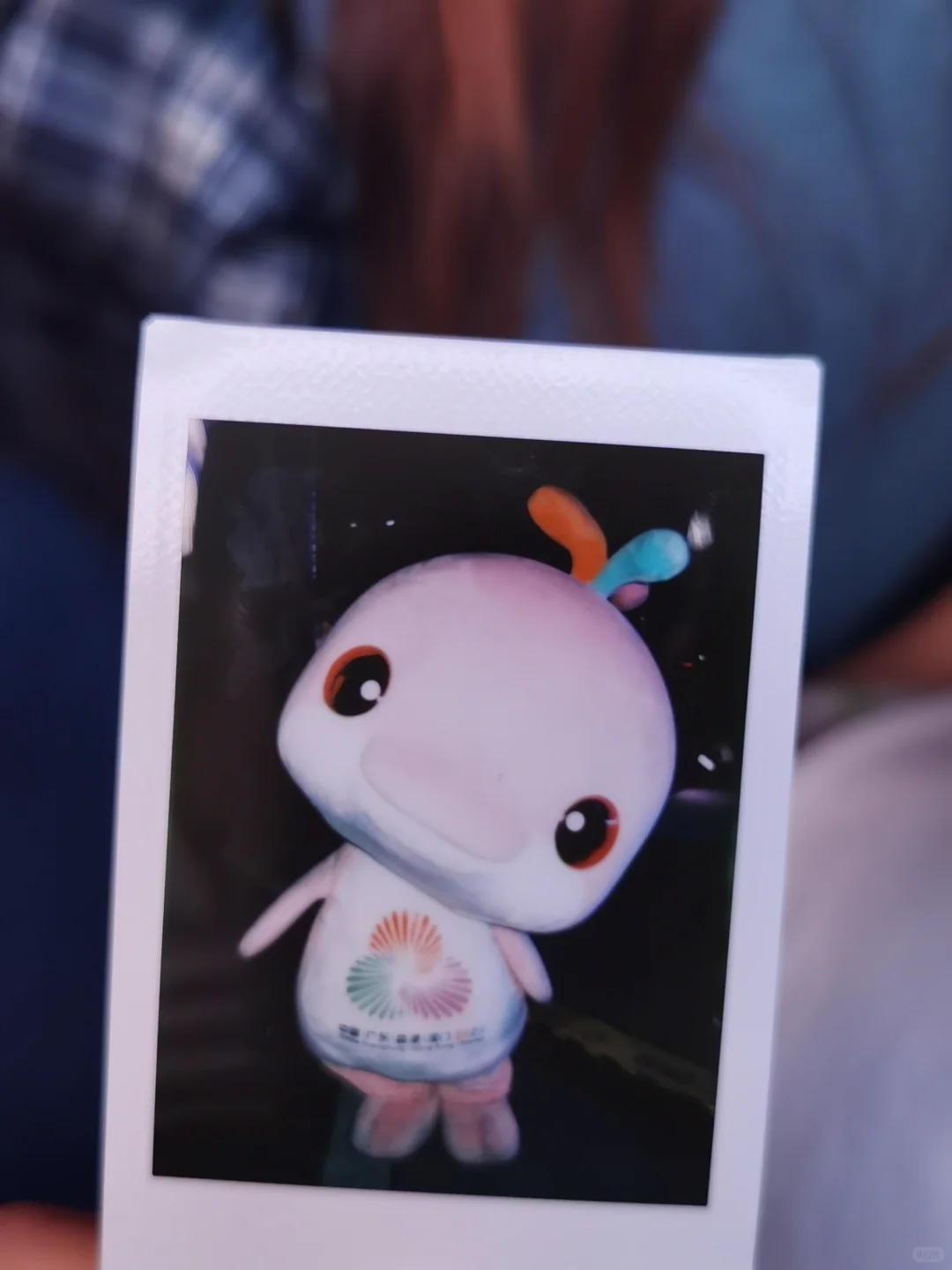 你怎么知道我今晚追鸡成功！