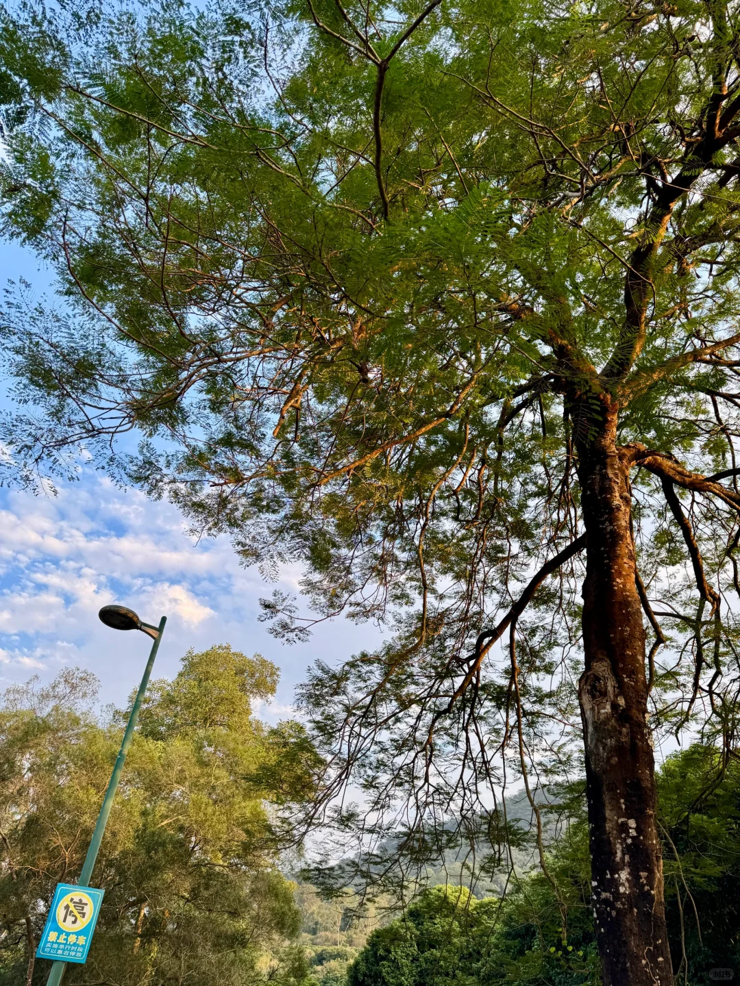 📍东莞 秋日浪漫指南 同沙公园看晚霞🌄