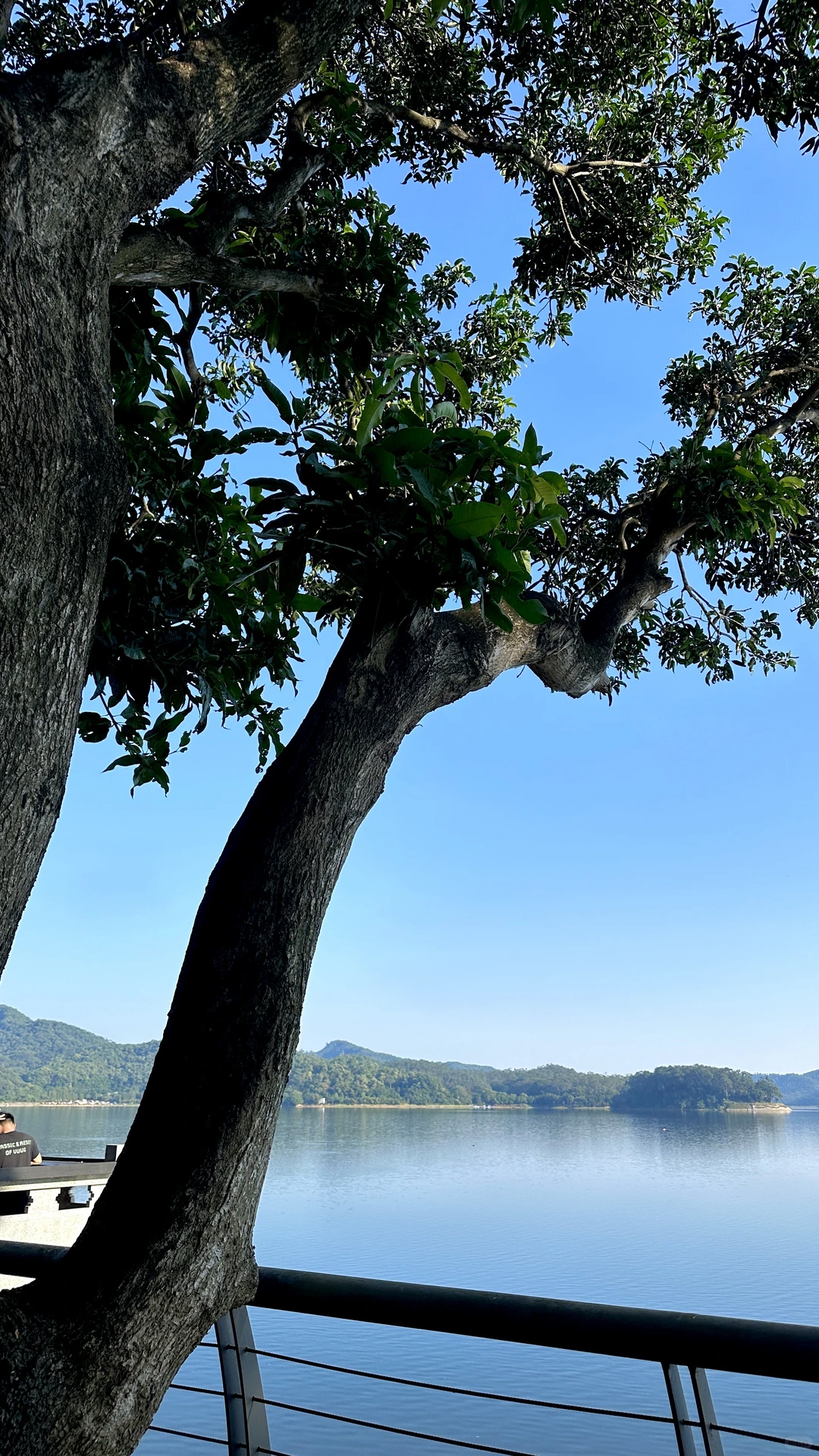 🏕️ 东莞也有属于自己的“小洱海”