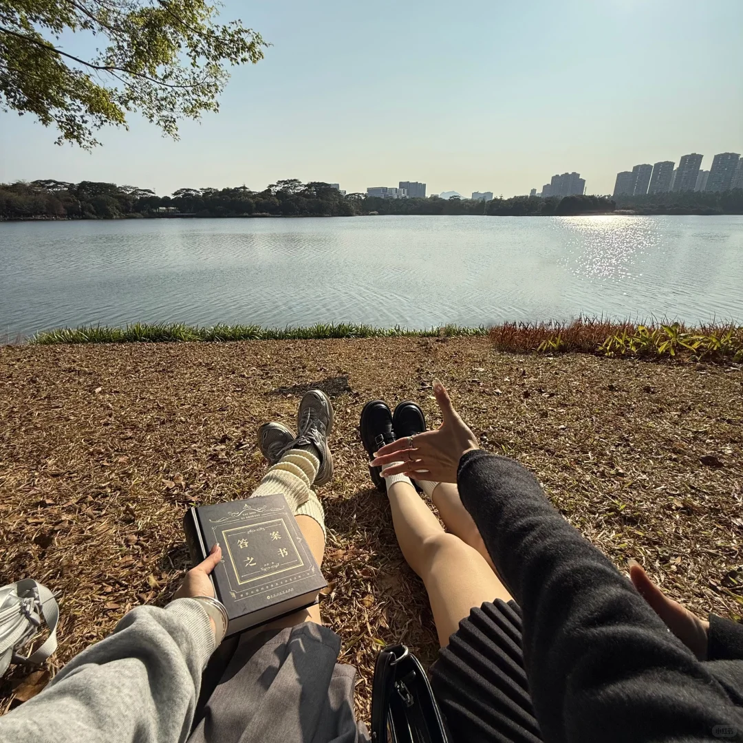 东莞｜松山湖太好拍了！公园拍照get ~充电ing