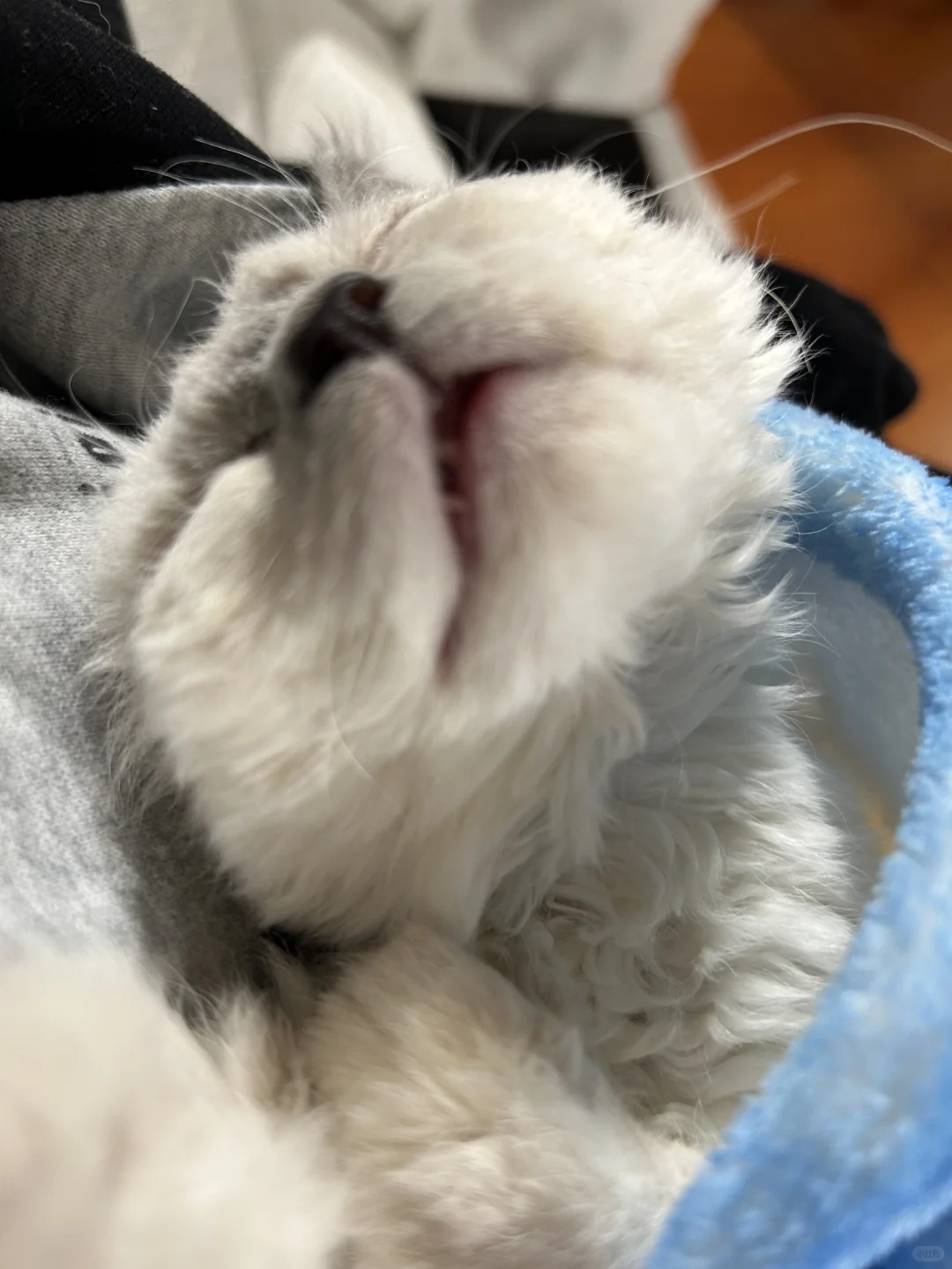 广州！50不限时一天！