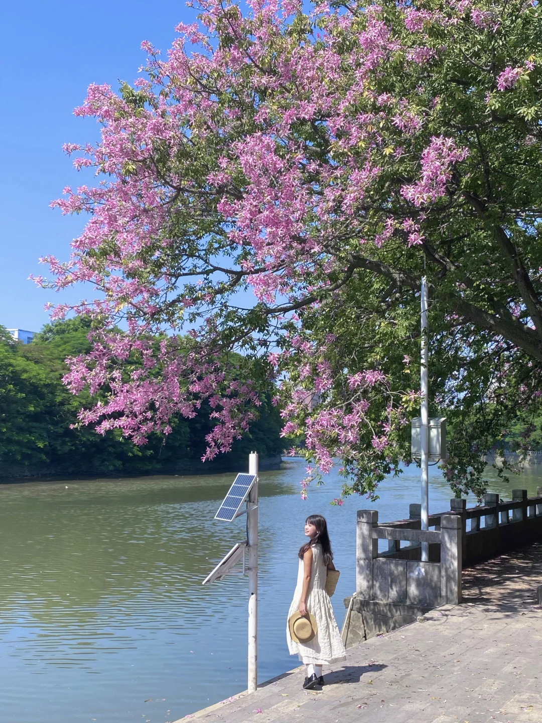 “后来我逢人便会说…🌸秋天的广州有多美！！”