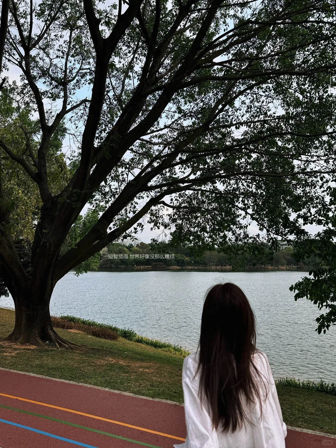 树下 我是我的春天📖🌳