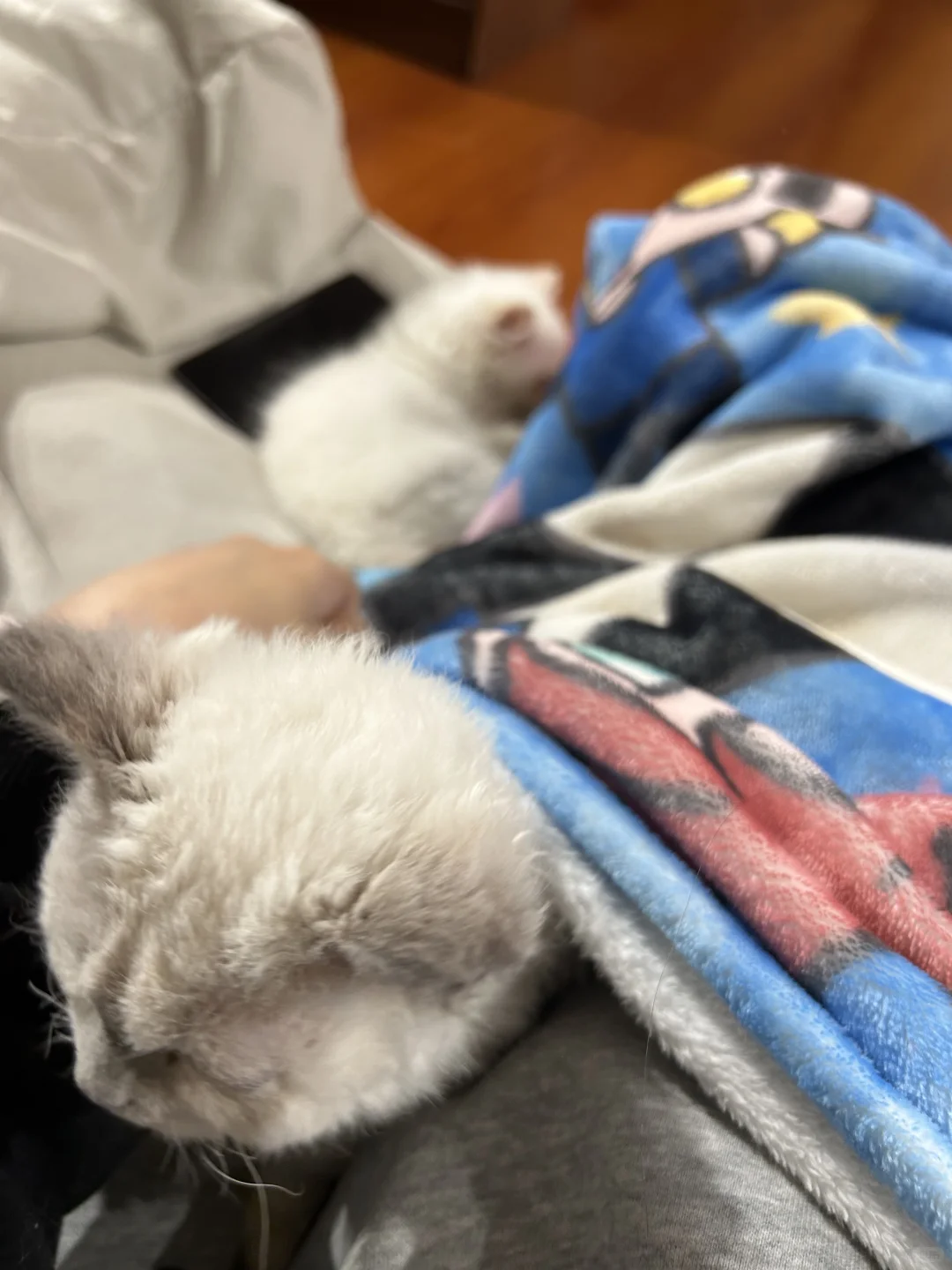 广州！50不限时一天！