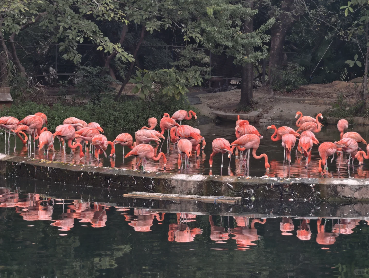广州动物园，下次还来！