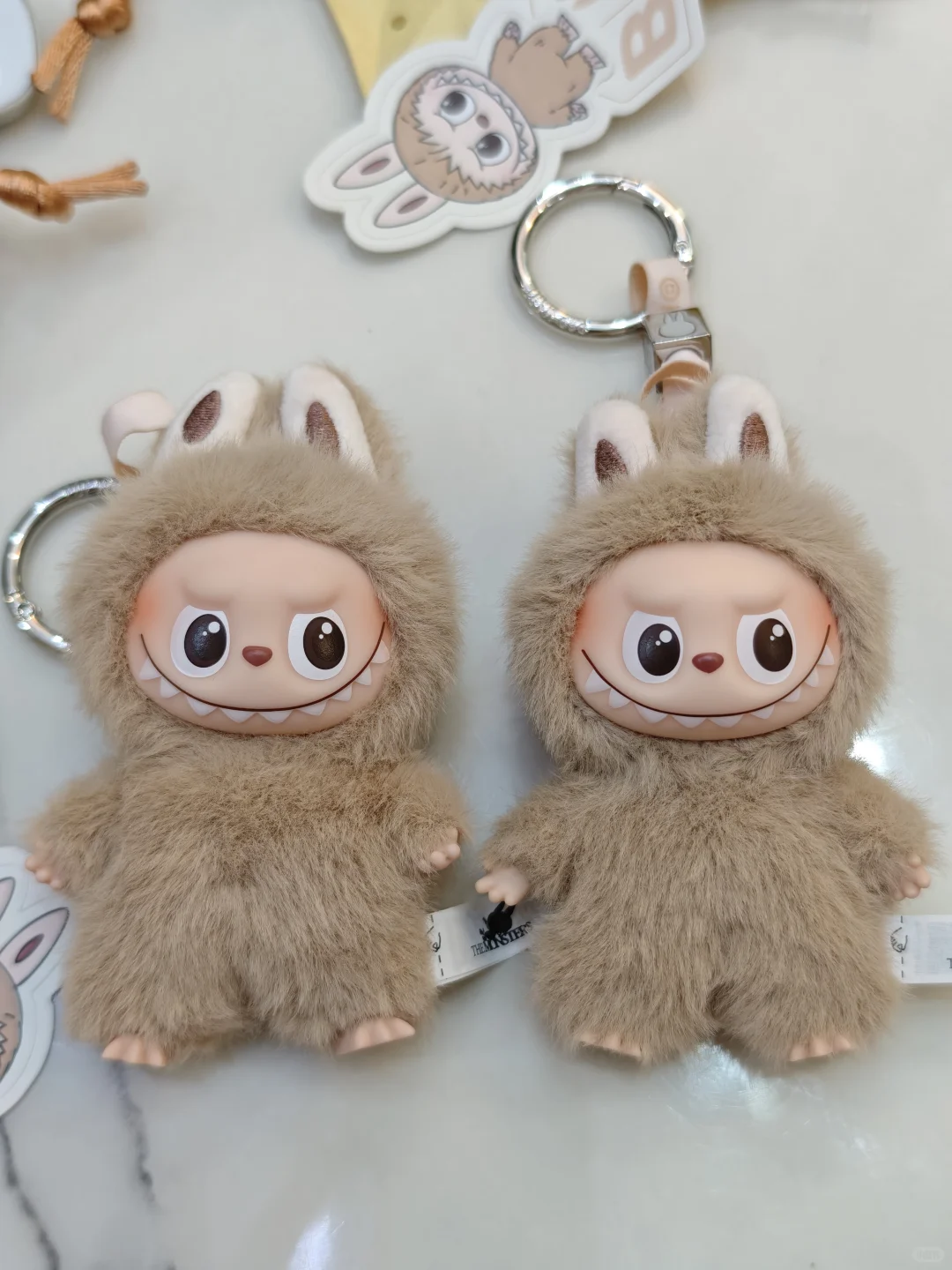 东莞崽vs中山崽