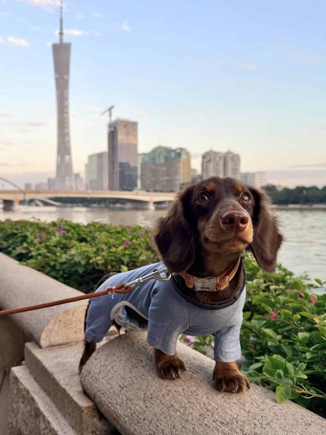 我来广州啦！带来了好消息✌️✌️✌️