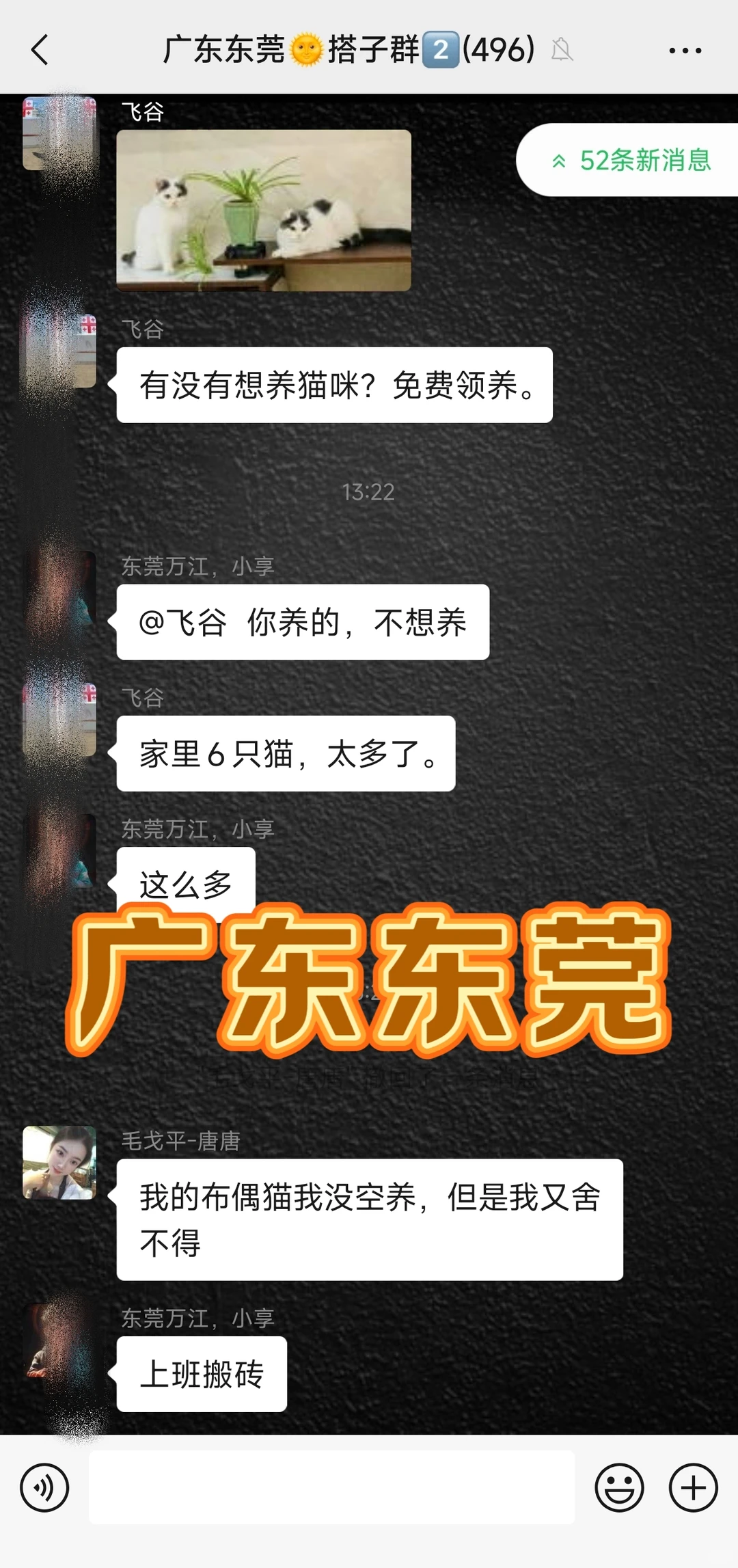 仅东莞的宝宝进