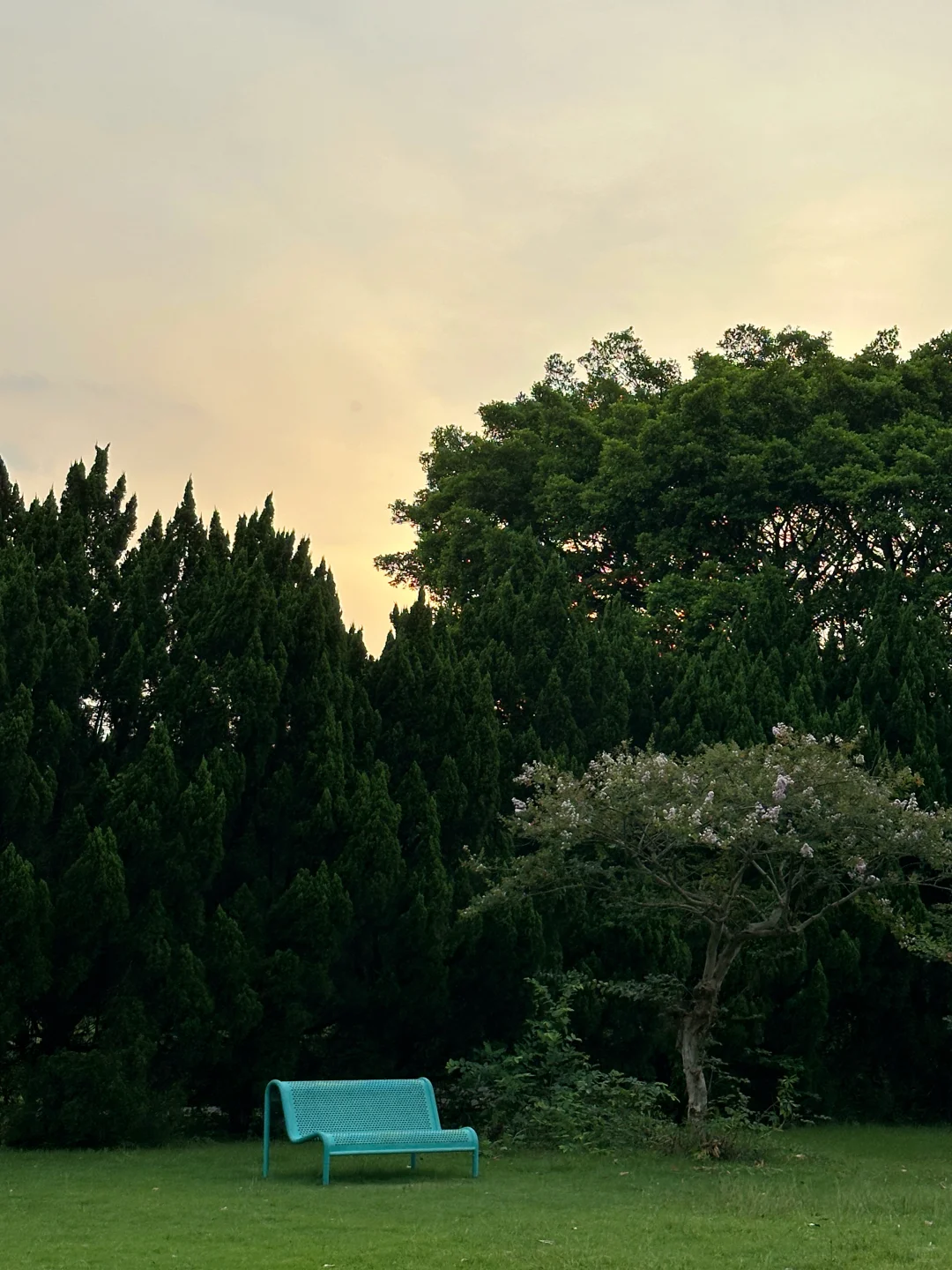 广州📍南沙 地铁直达看海 一日citywalk🏝️