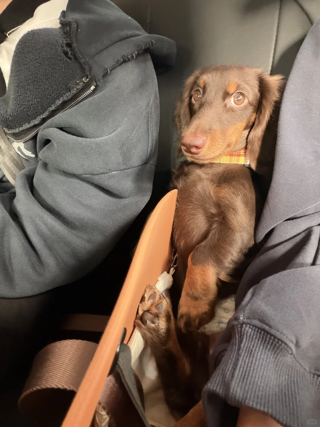 我来广州啦！带来了好消息✌️✌️✌️