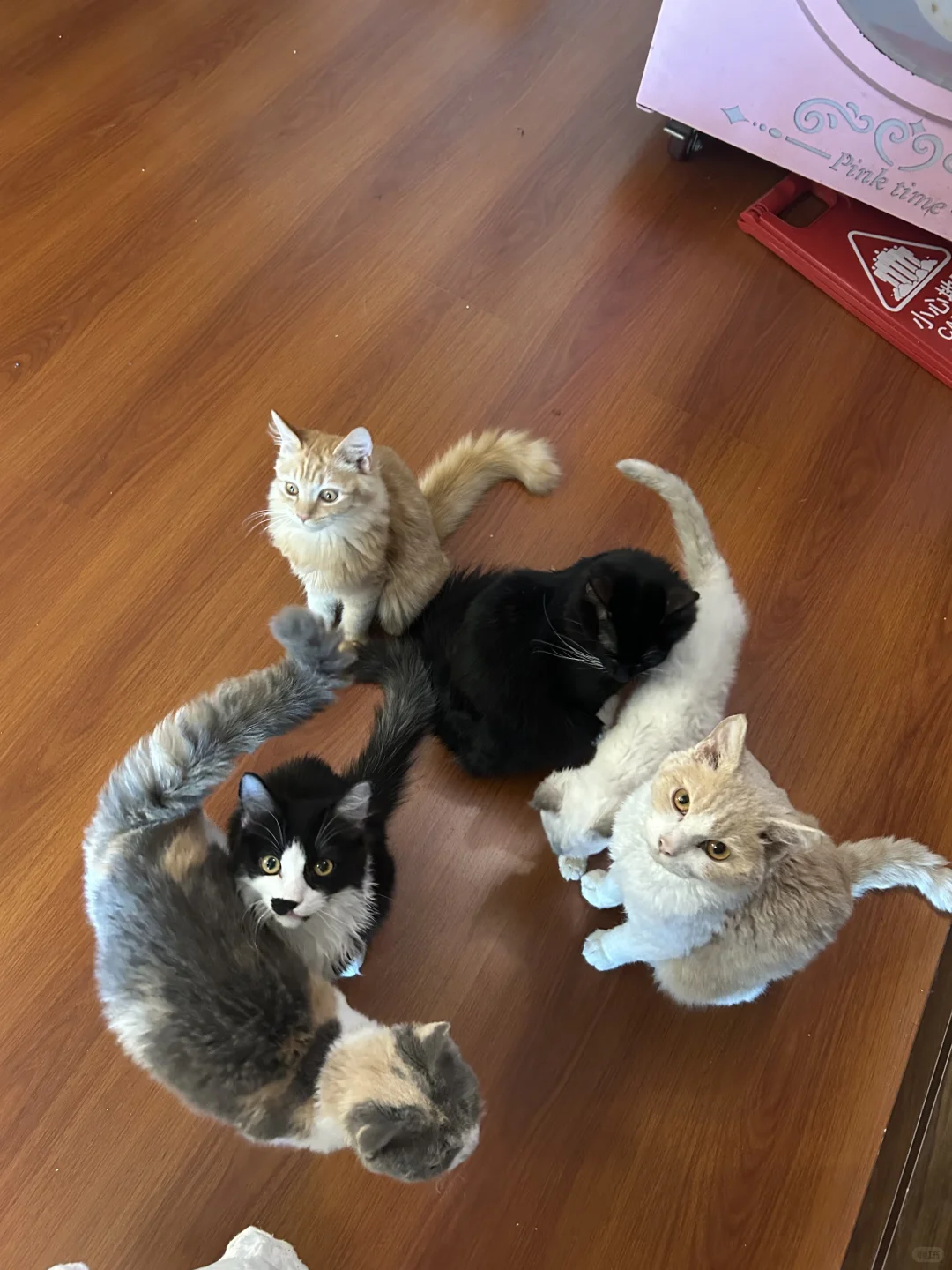 广州！50不限时一天！