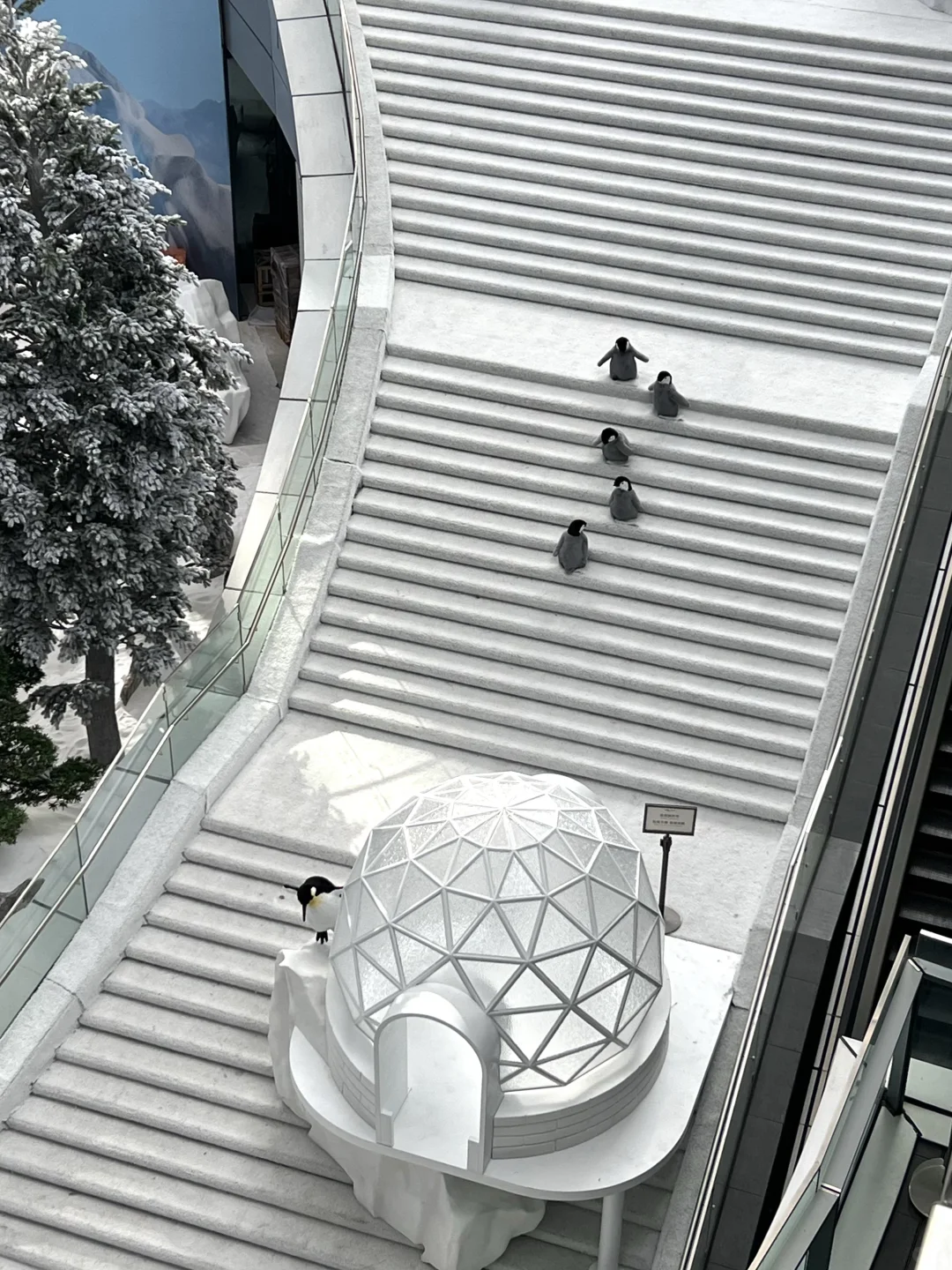 深圳不要钱的雪景随便拍，好浪漫呀❄️❄️