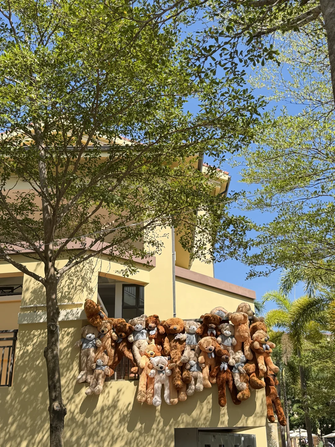 深圳🚇地铁直达海边栈道，秋天徒步太舒服