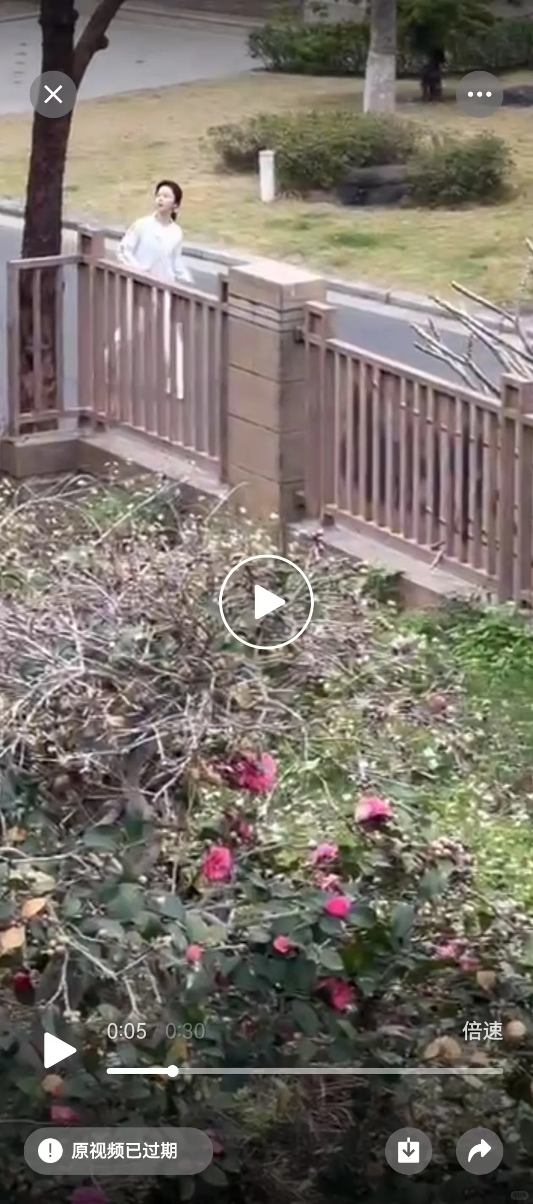 谭松韵来我家小区拍电视剧