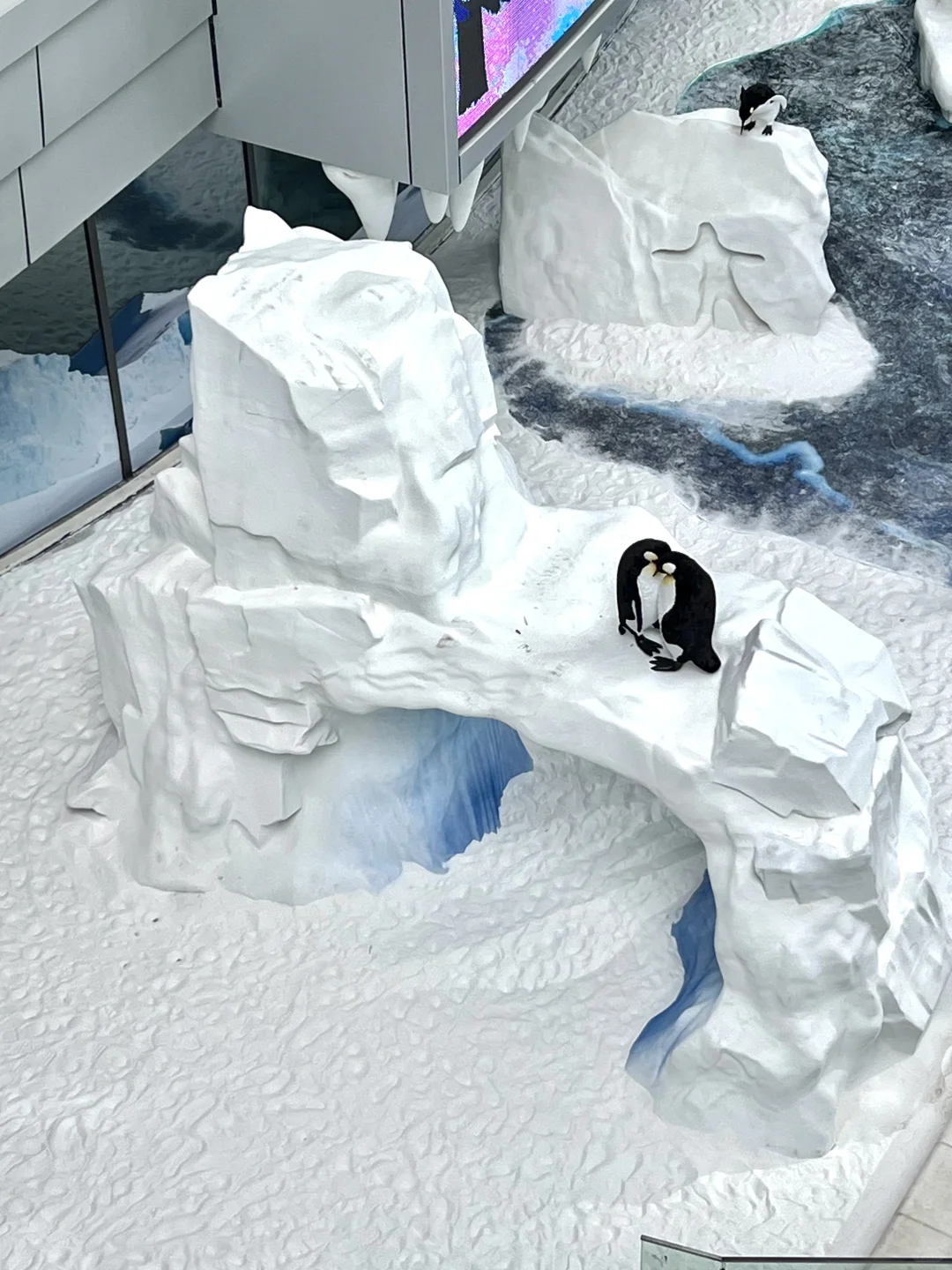 深圳不要钱的雪景随便拍，好浪漫呀❄️❄️