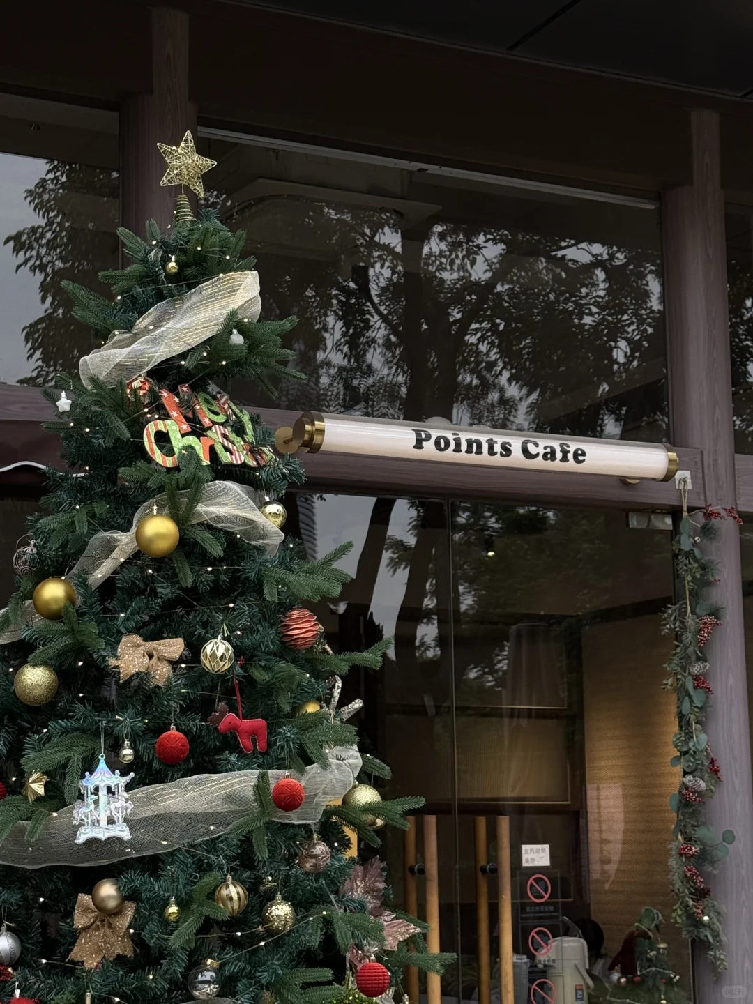 已经开始期待东莞的圣诞甜品啦🎄⋆·˚ ༘