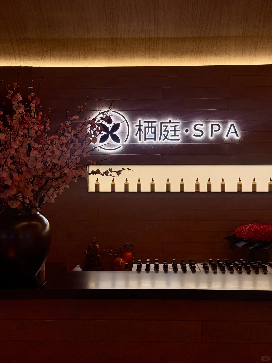 东莞！！真的不缺漂亮又舒服的💆‍♀️Spa……