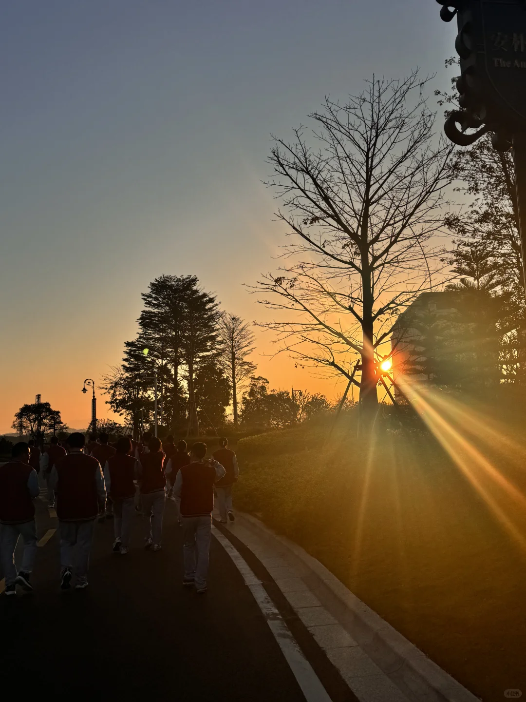 🦋华为三丫坡不要太美…