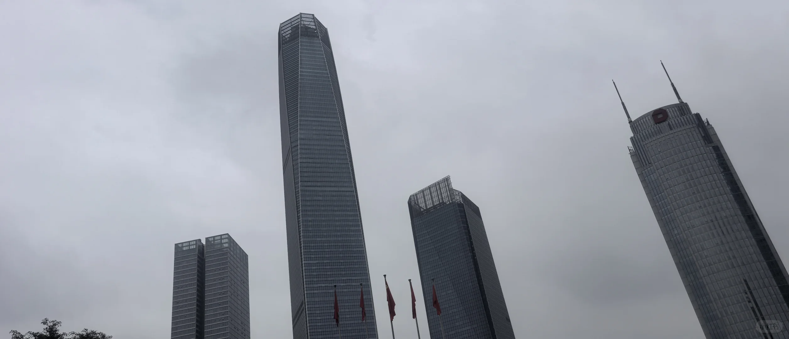 东莞国贸大厦有没有投资骗子公司？？