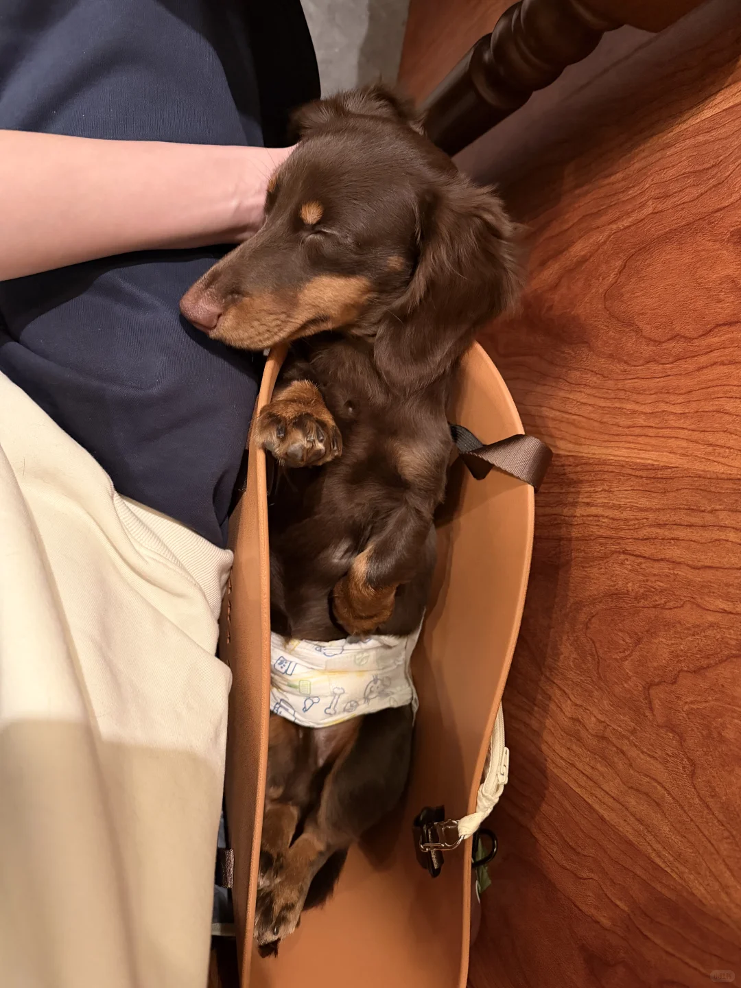 我来广州啦！带来了好消息✌️✌️✌️