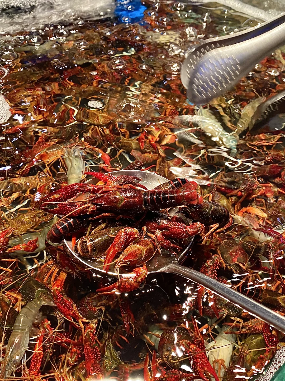 广州真的能轻松回本的海鲜自助。。。