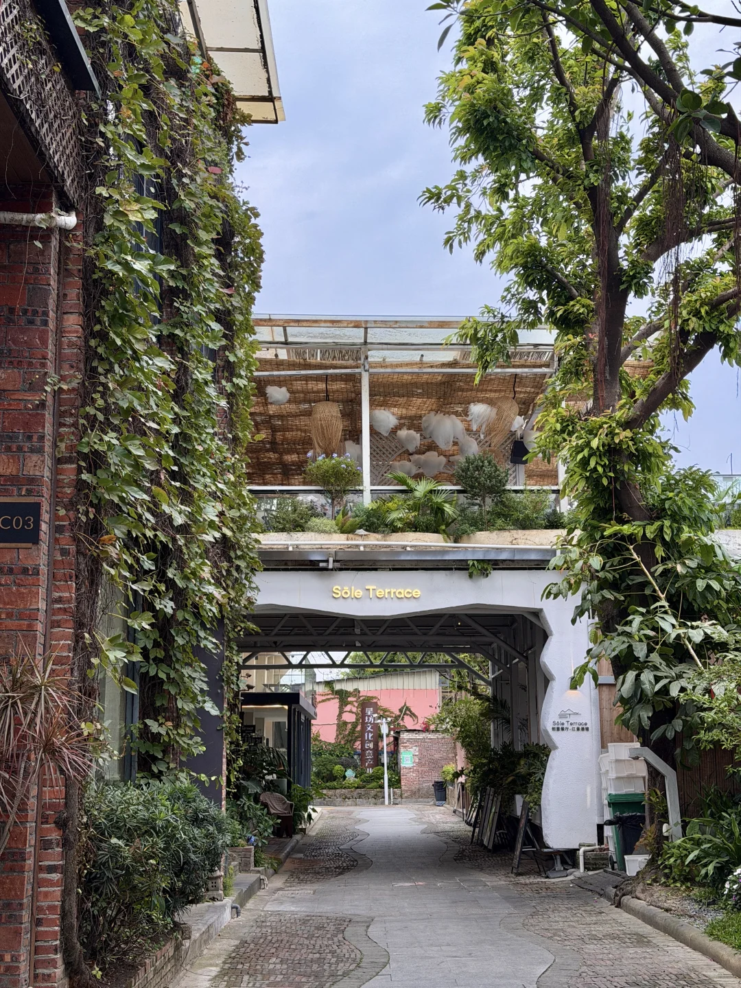 广州又有新的！！！！好漂亮💐。。。。