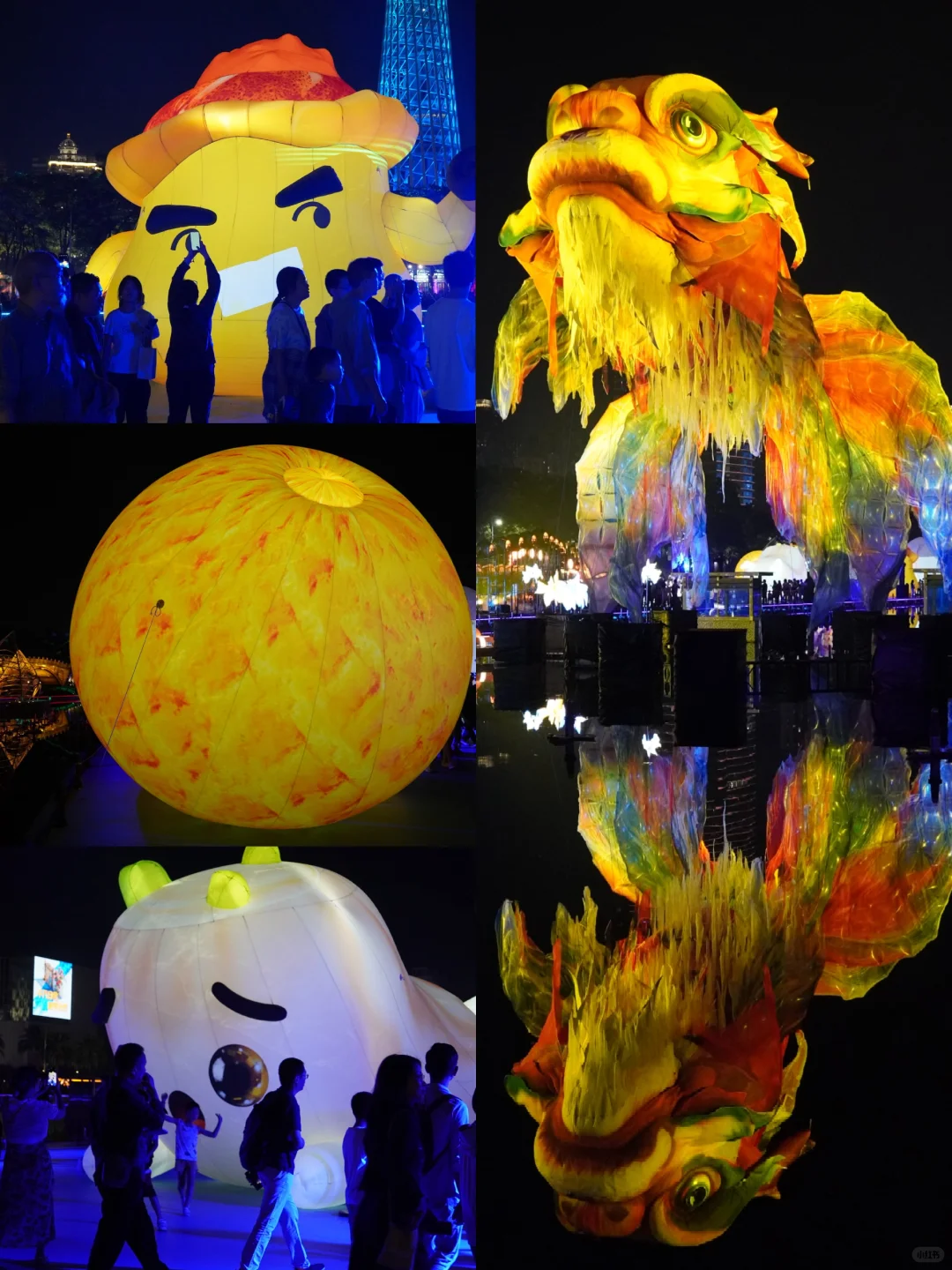 广州鳌鱼出差深圳！灯光节版本已成限定款！😎