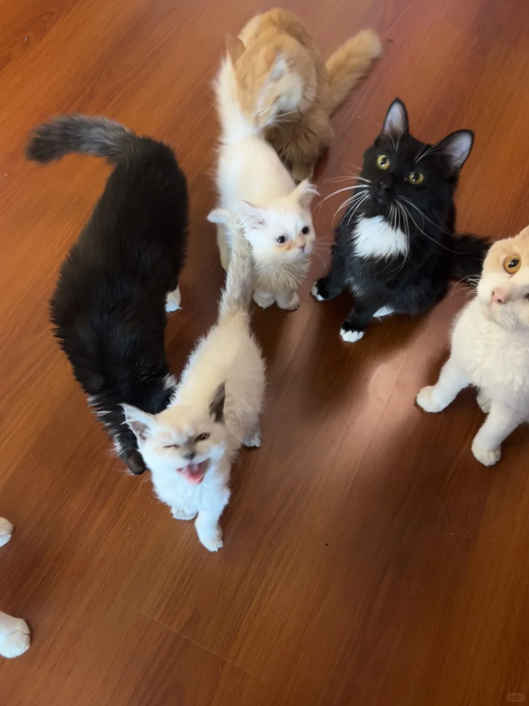 广州！50不限时一天！