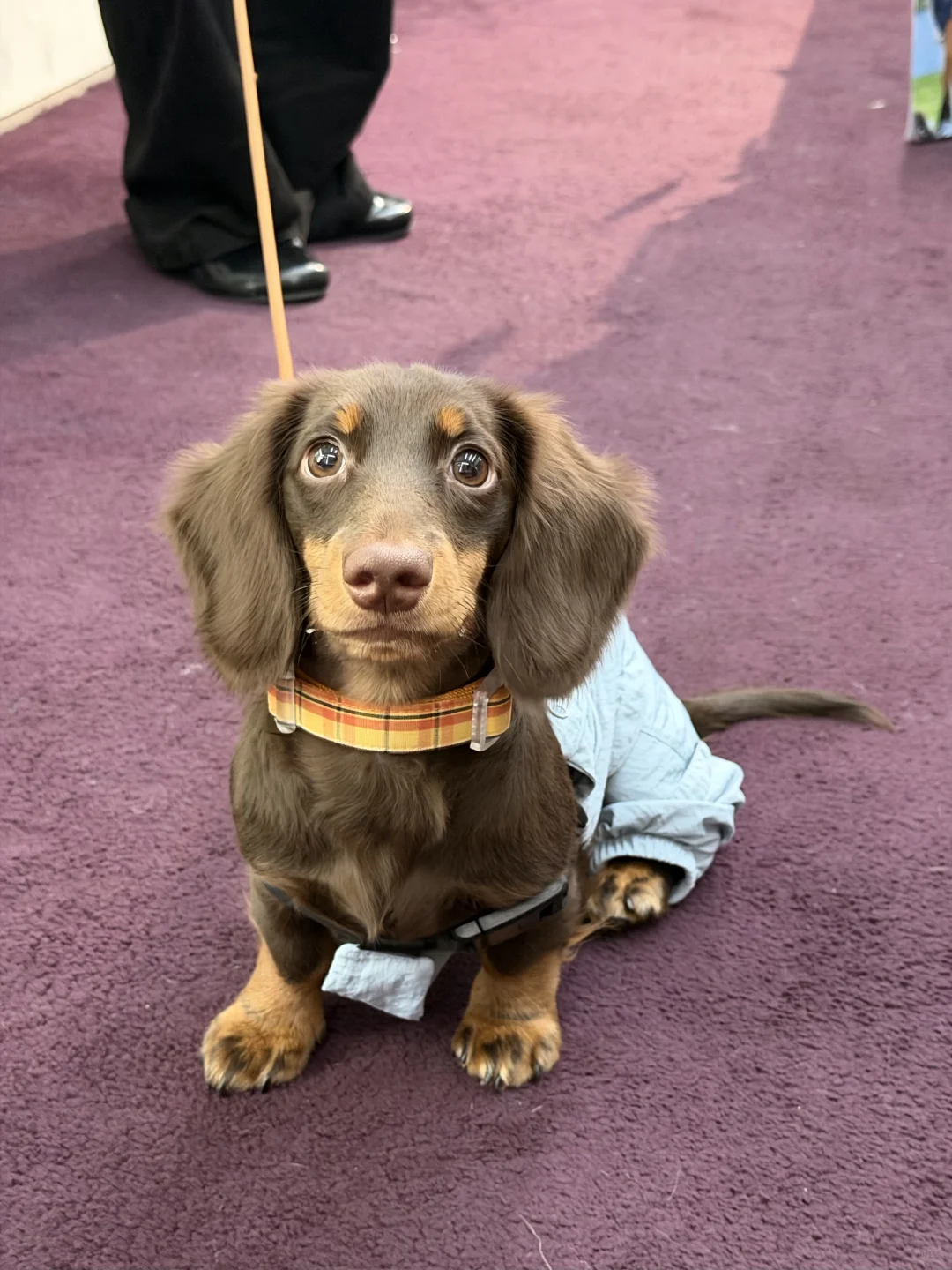 我来广州啦！带来了好消息✌️✌️✌️