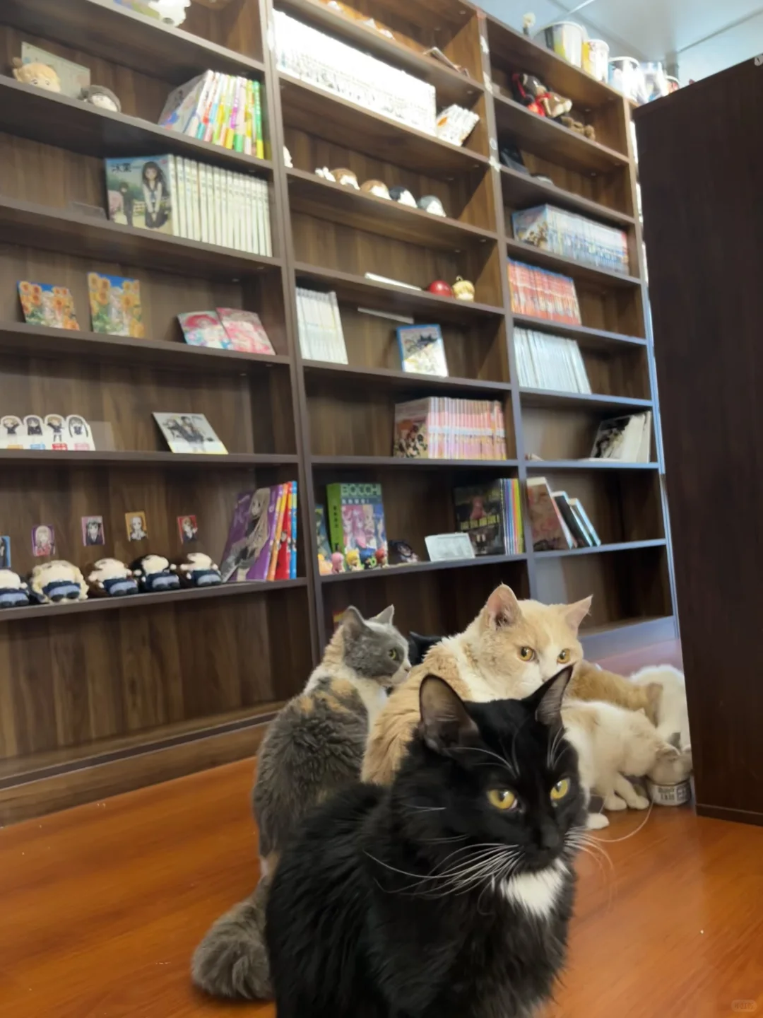 广州！50不限时一天！