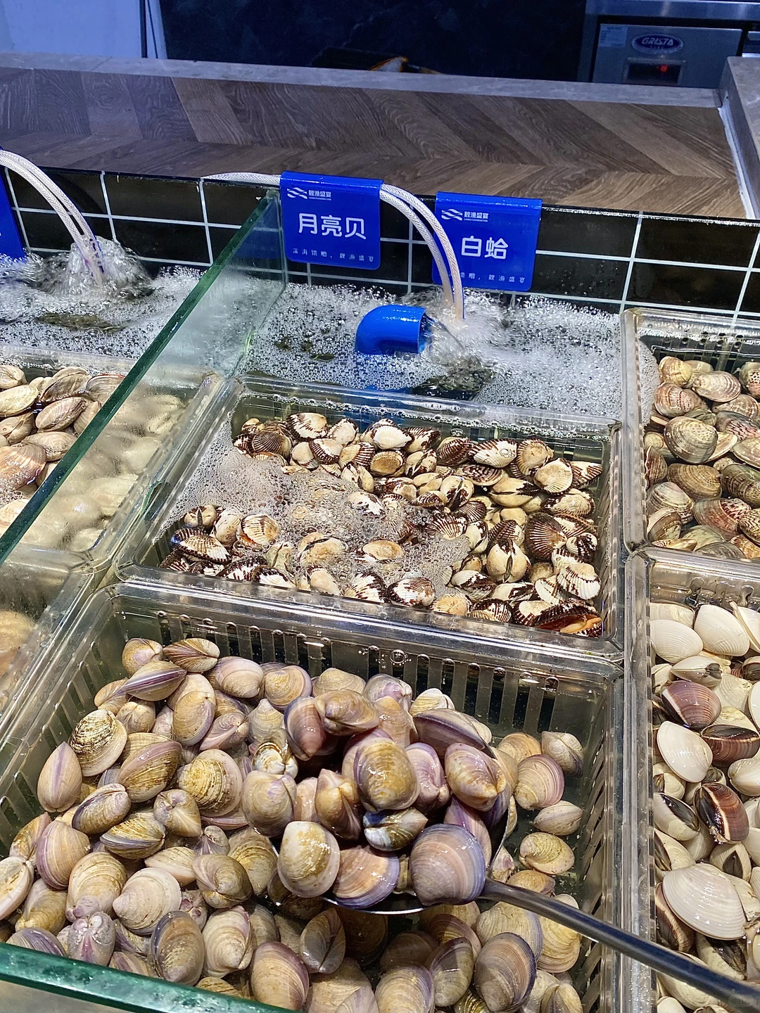 广州真的能轻松回本的海鲜自助。。。