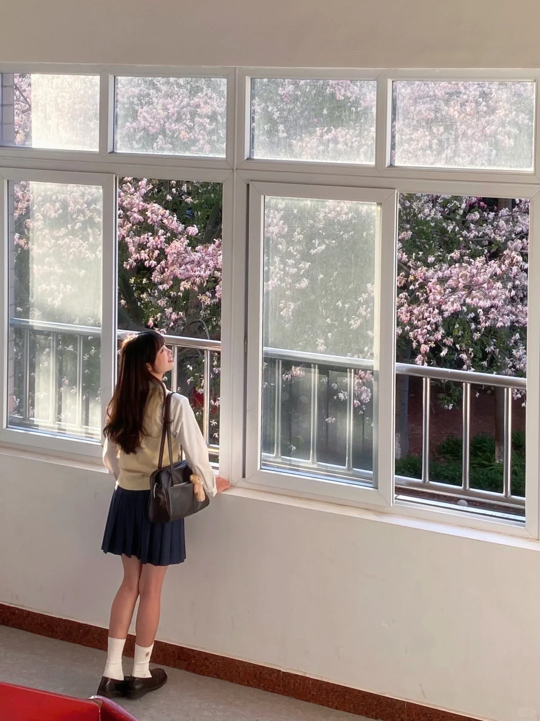 Live图🌸一棵树就是…广州一场盛大的秋冬！！