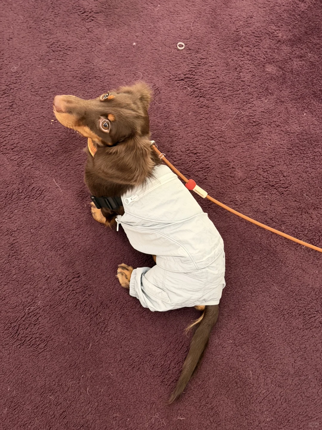 我来广州啦！带来了好消息✌️✌️✌️