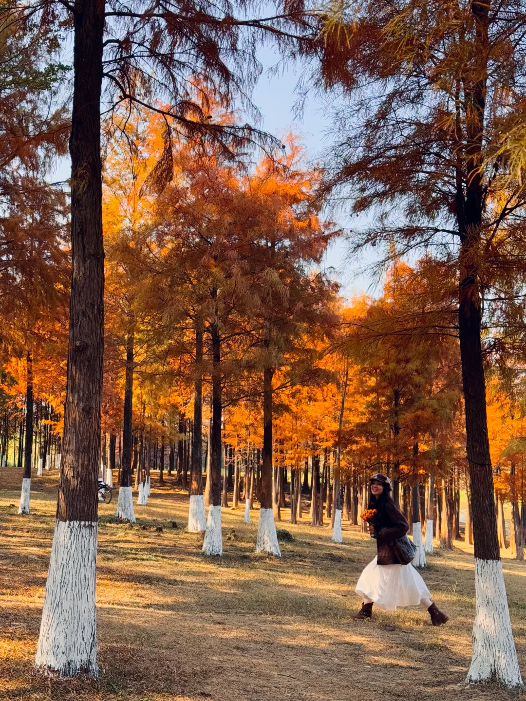 不是大理！现在的东莞美得像油画📱1.6实拍