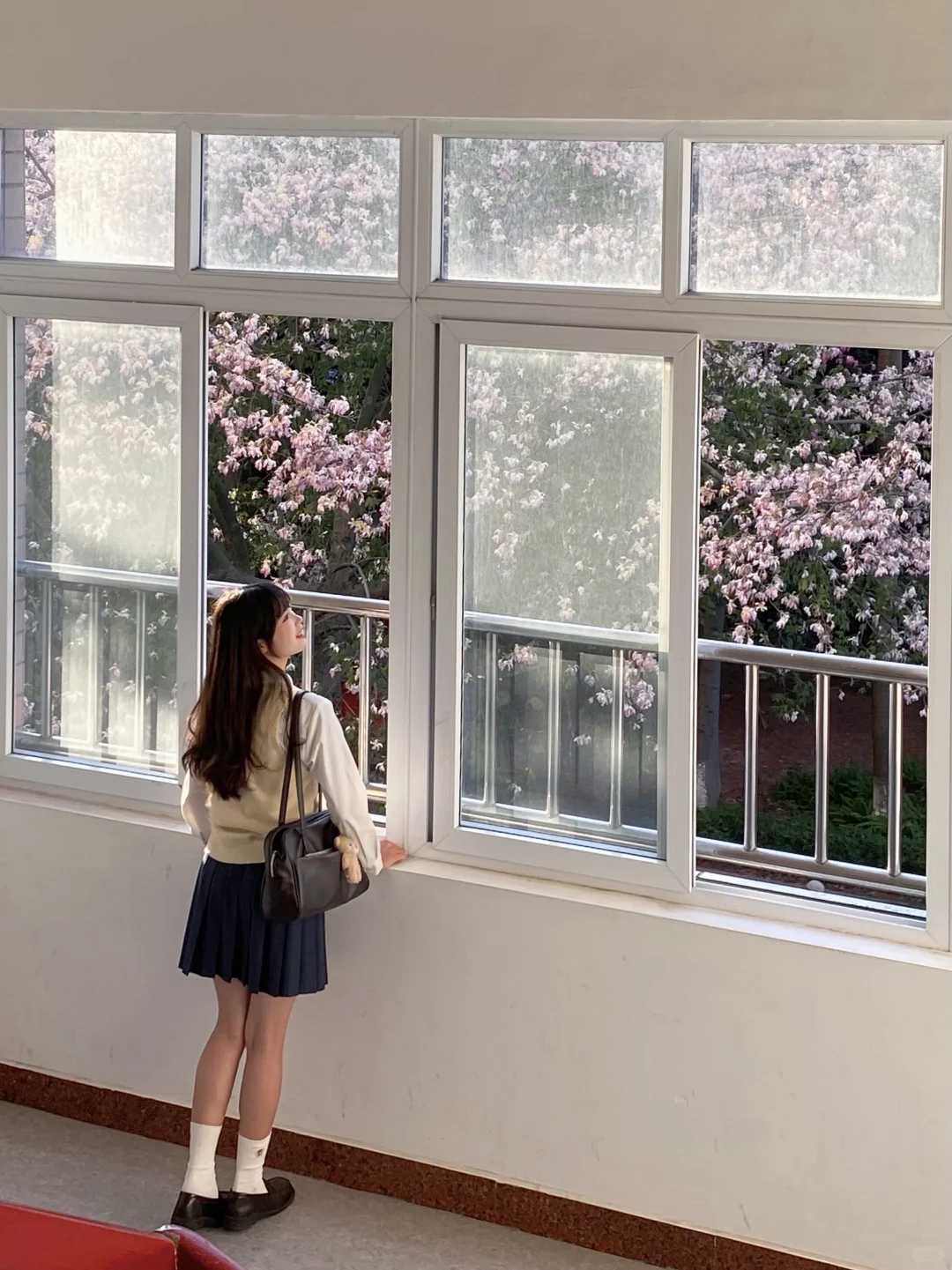 “后来我逢人便会说…🌸秋天的广州有多美！！”