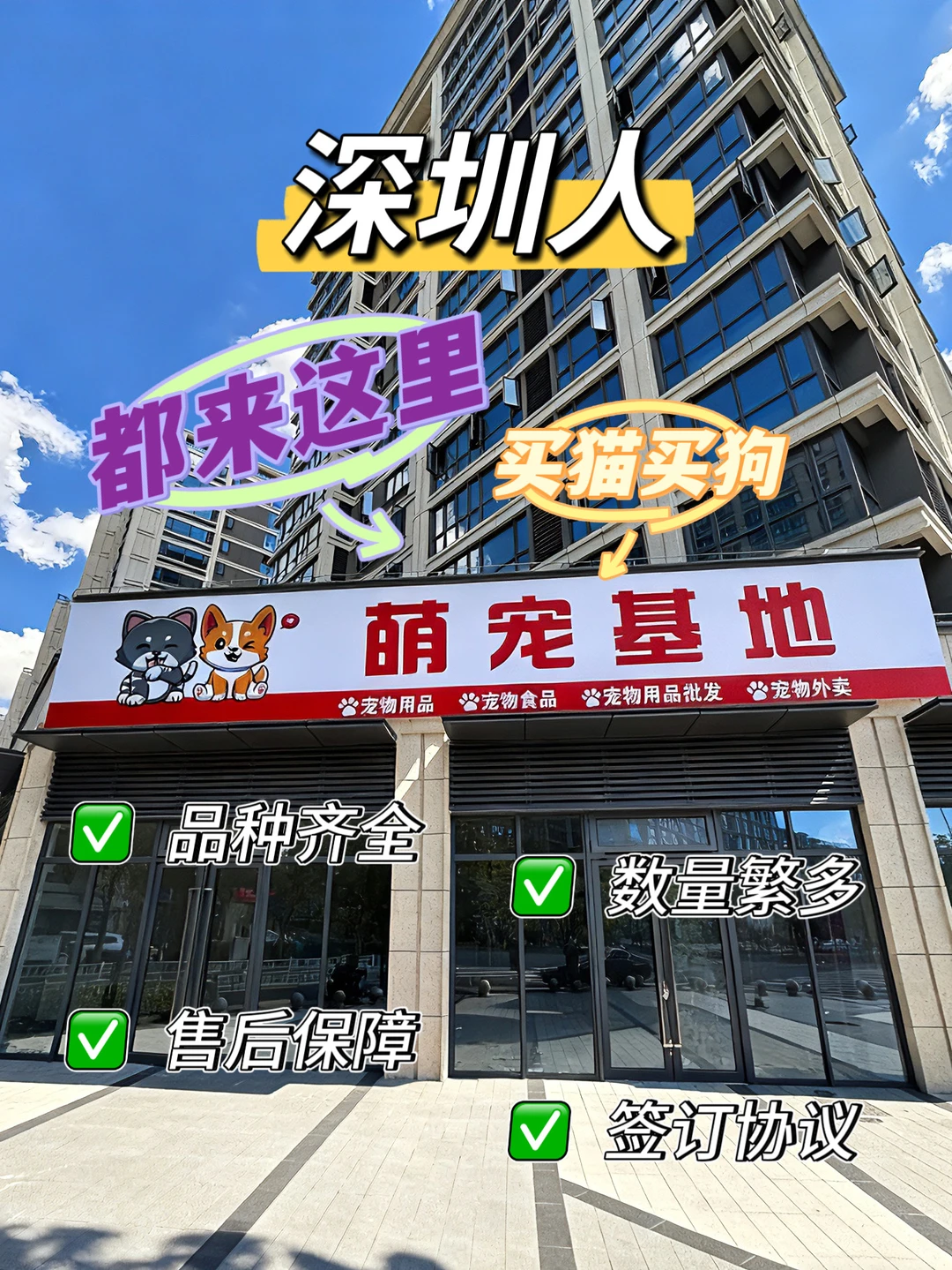 深圳大型宠物基地🔥喜欢猫猫狗狗的看过来🔥