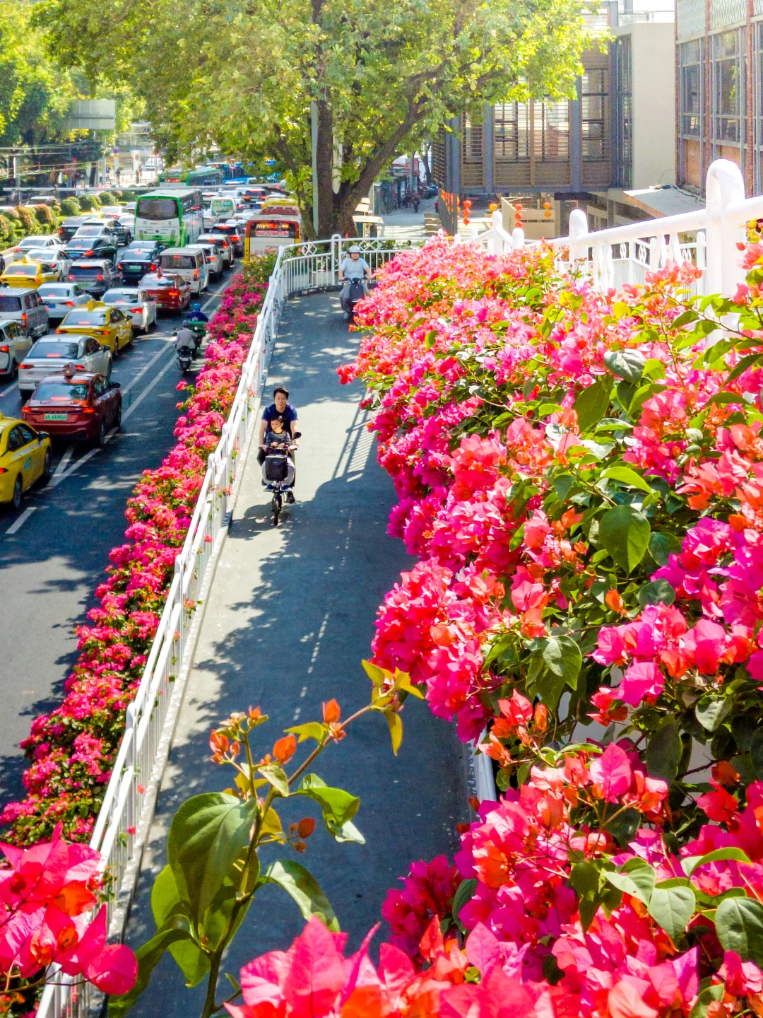 十一月，广州会让你知道为什么叫花城！