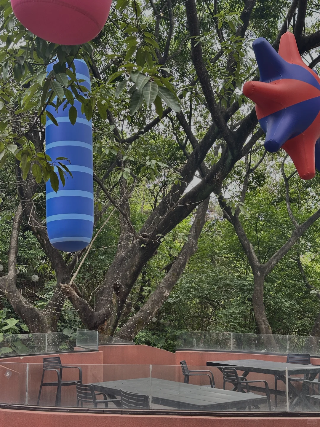 淡人 独处 东莞树景玻璃屋发呆1h恢复能量