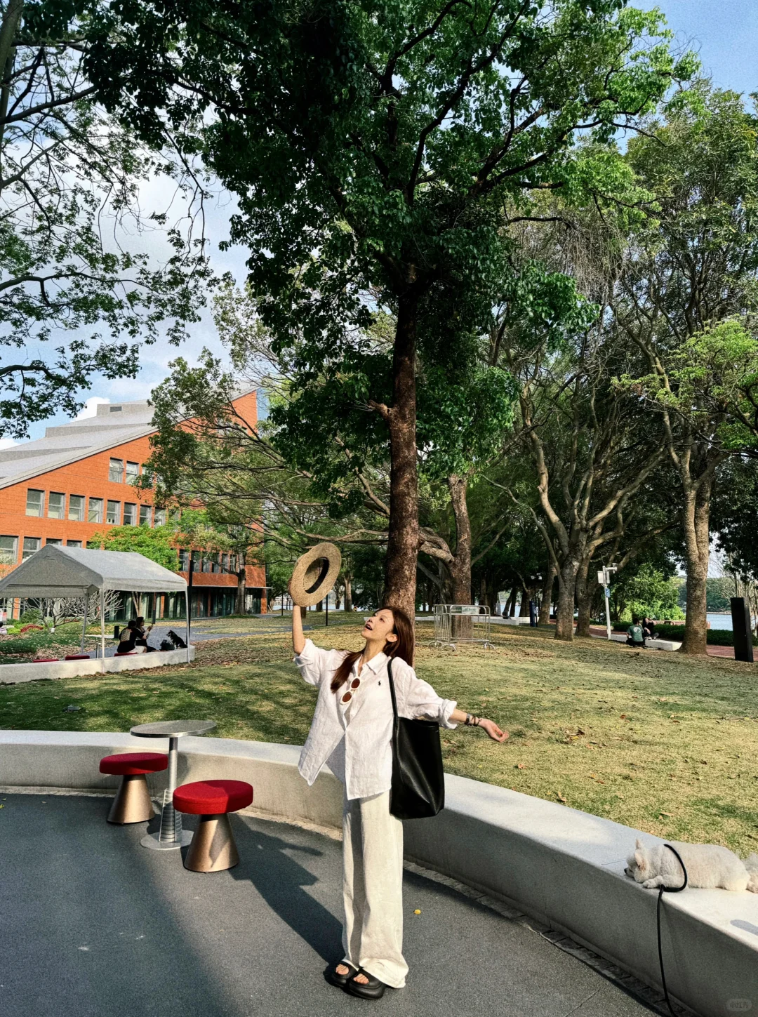 树下 我是我的春天📖🌳