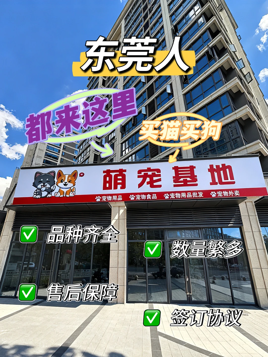 东莞大型宠物基地🔥喜欢猫猫狗狗的快来看看