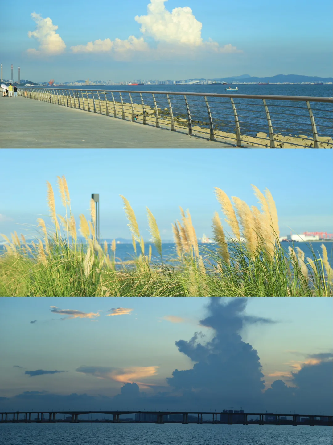 广州南沙看海🌊