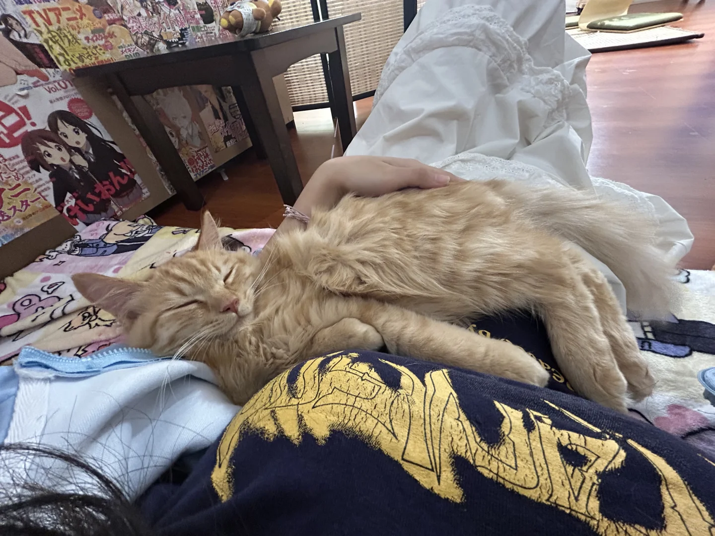 广州！50不限时一天！