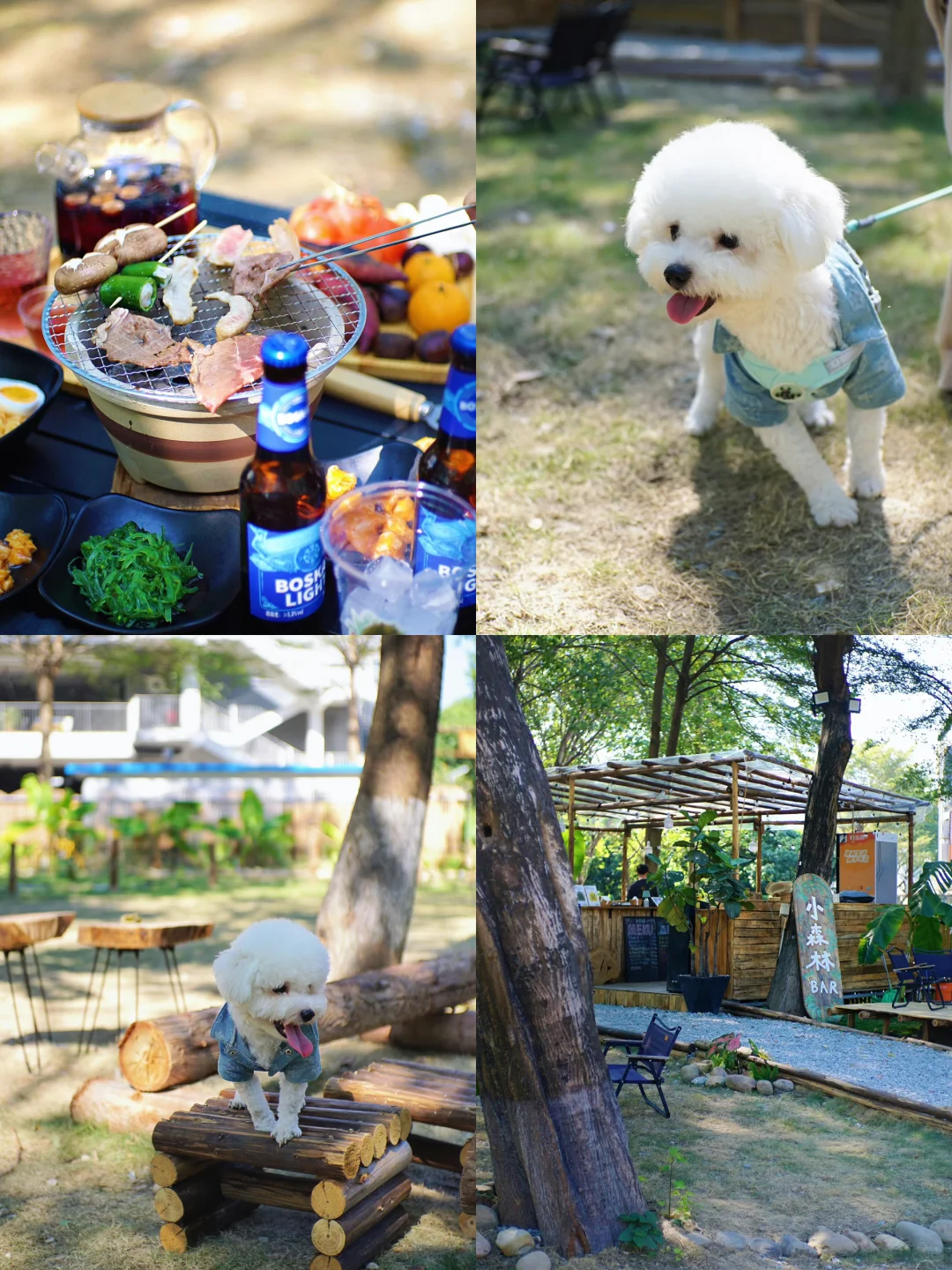 广州市区也有啦❕🐕‍🦺小狗周末露营地🏕️