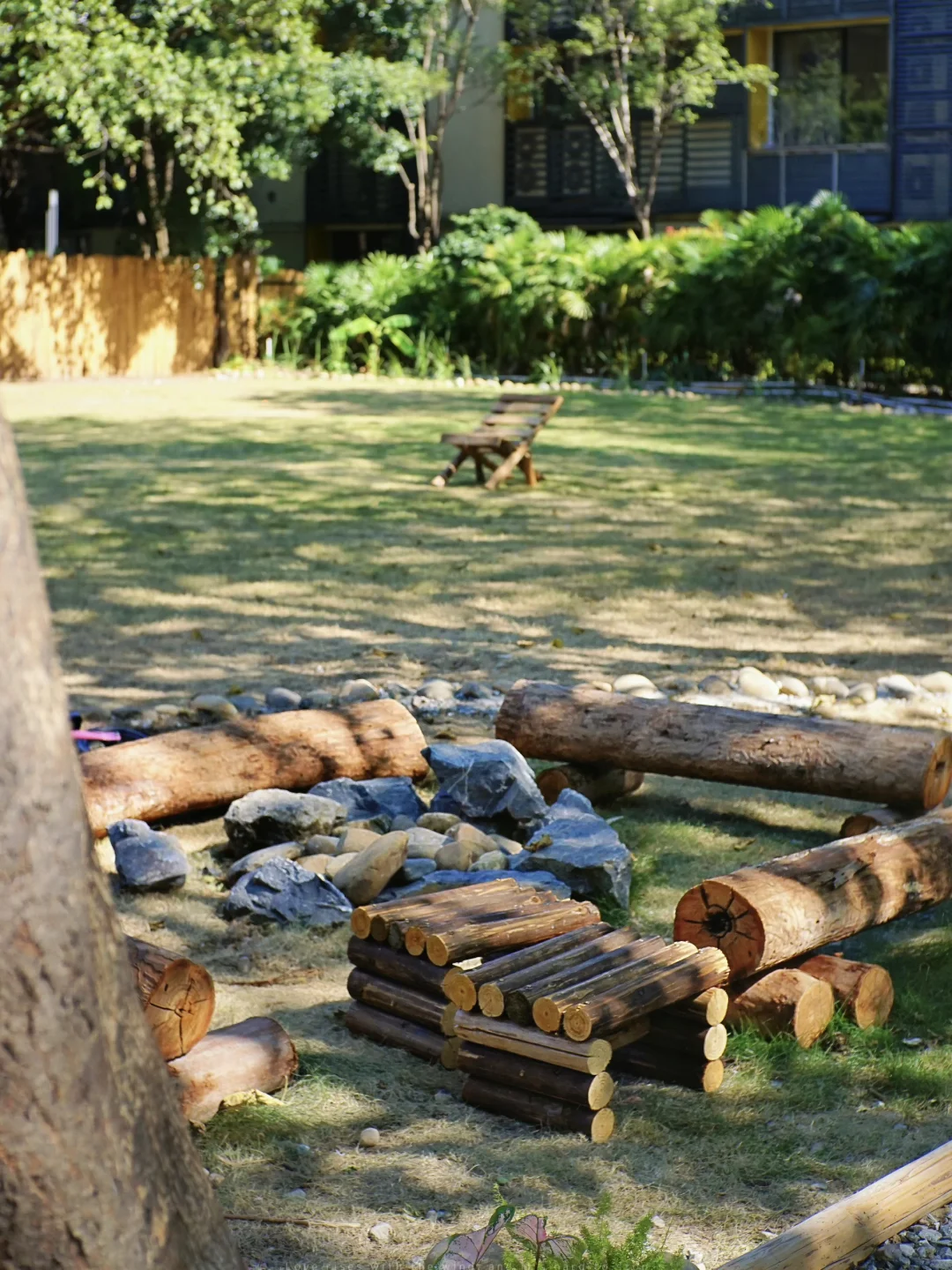 广州市区也有啦❕🐕‍🦺小狗周末露营地🏕️