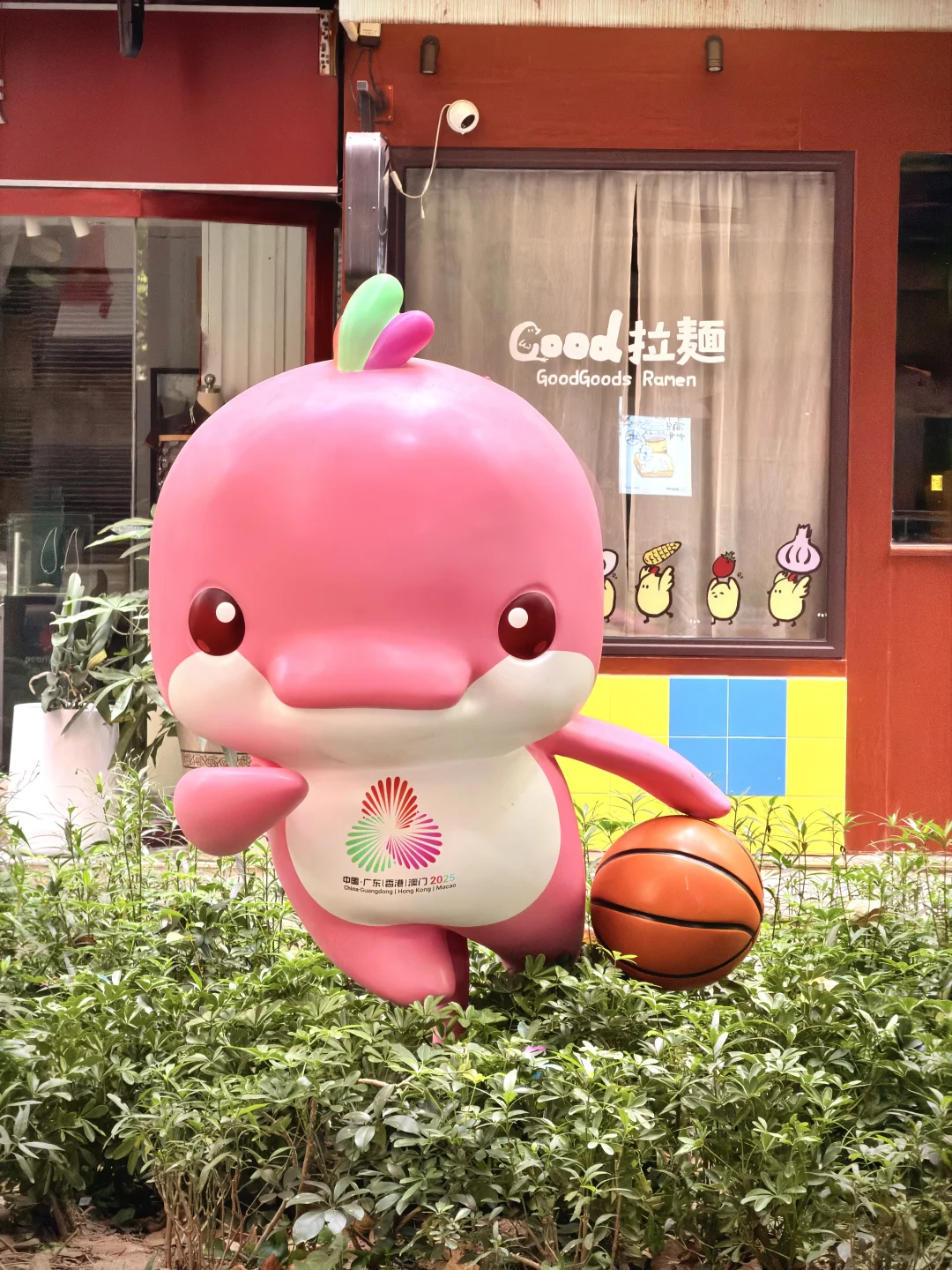 六运小区的大湾鸡，下次来广州可否再见？😭