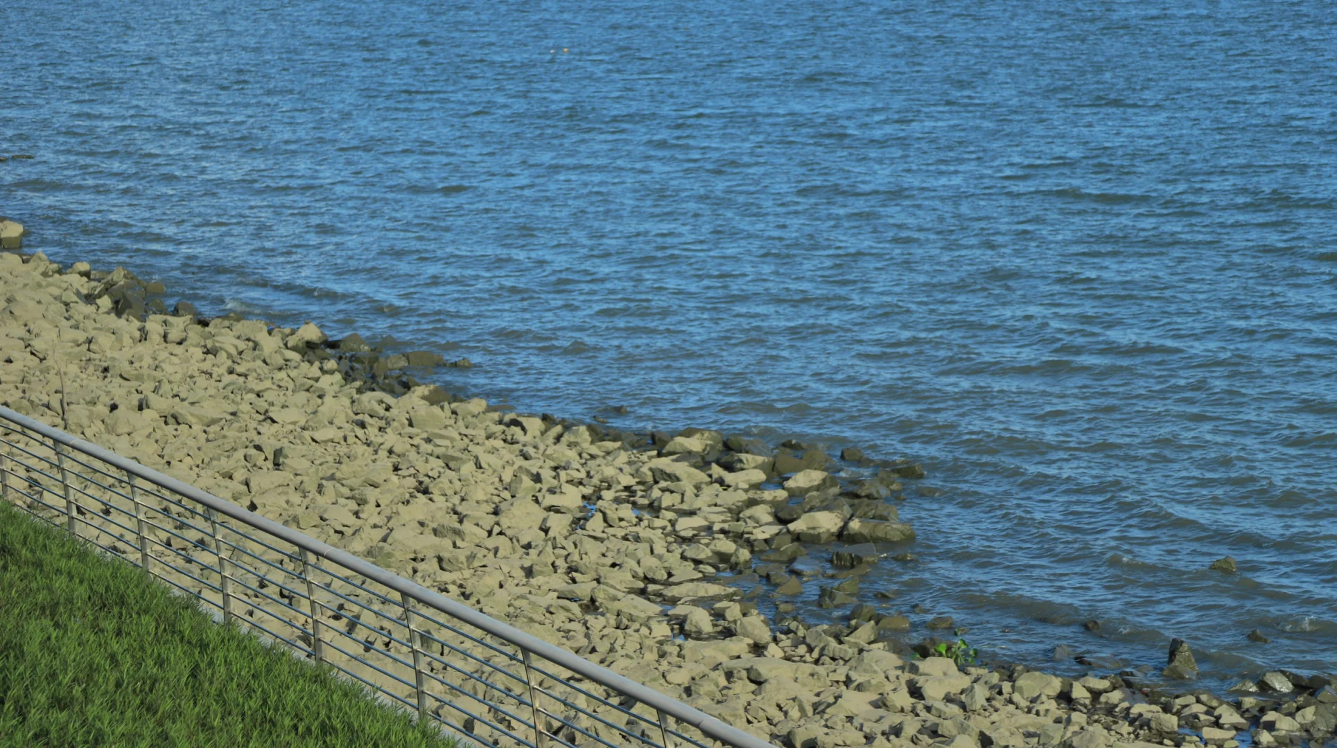 广州南沙看海🌊