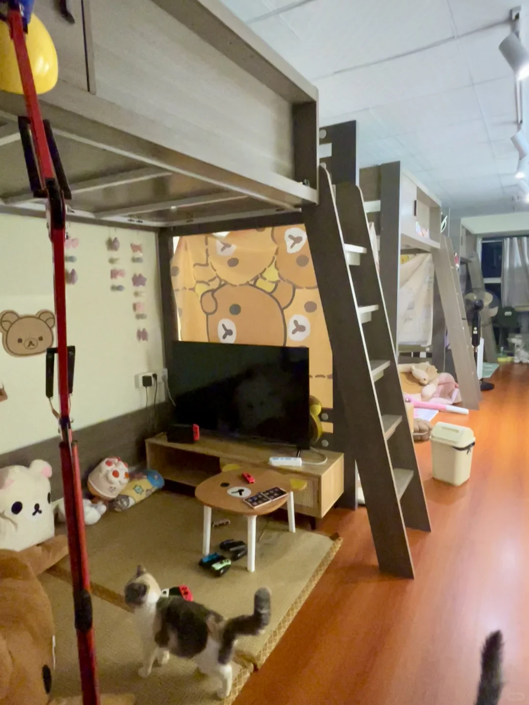 广州！50不限时一天！