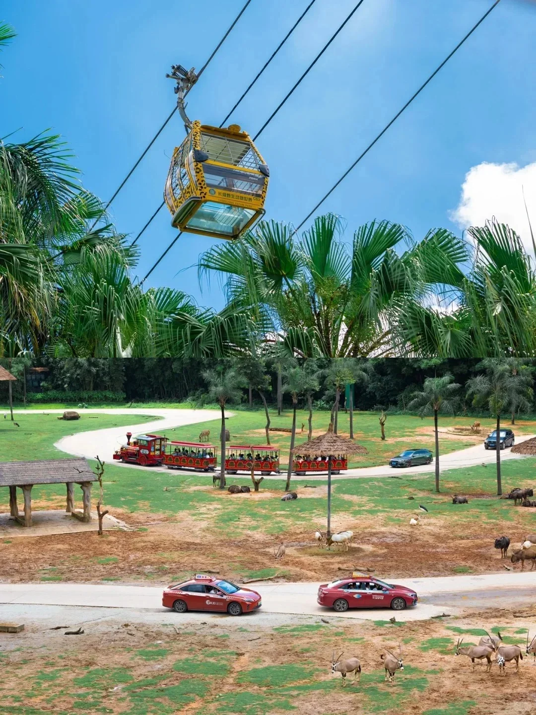 去了广州长隆6次，要去的一定要听劝！！！