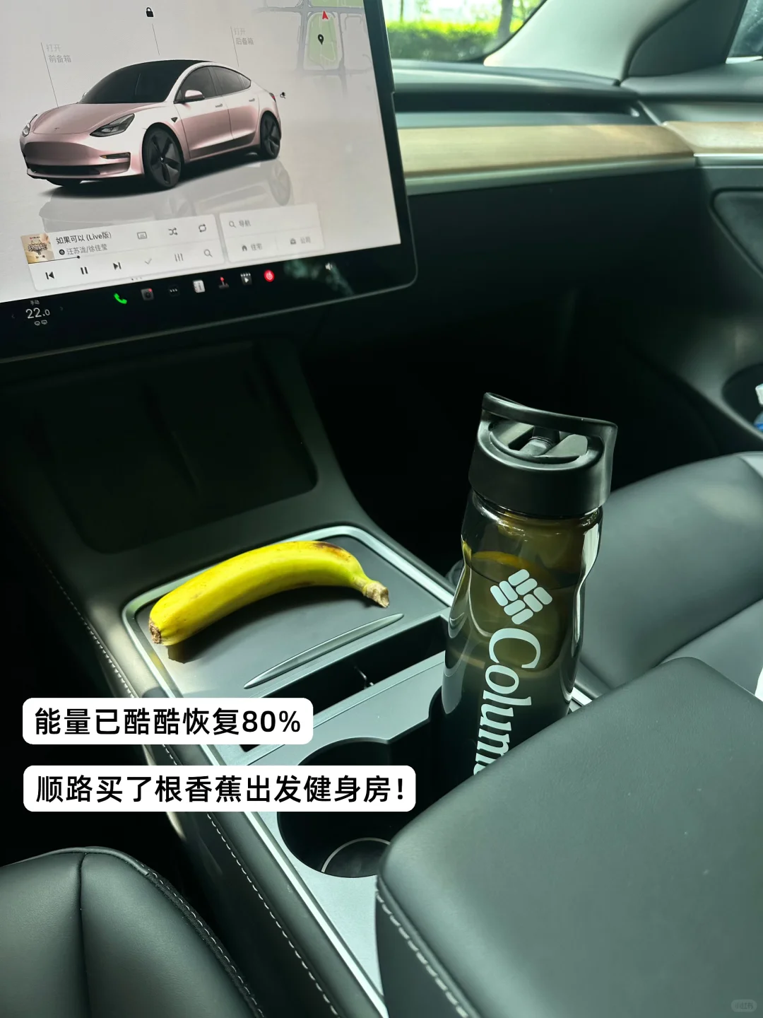 淡人 独处 东莞树景玻璃屋发呆1h恢复能量